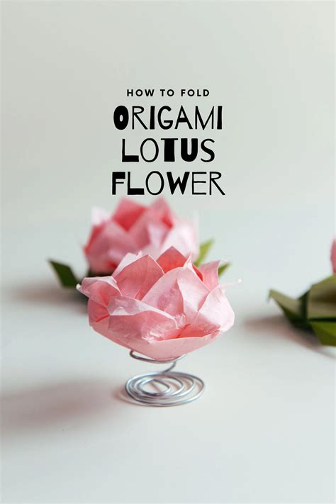 Image result for Origami Lotus Flower Variations