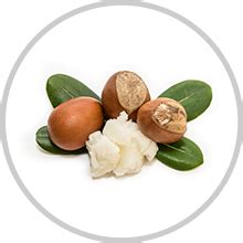 WOW Skin Science Multi-Vitamin Aloe Vera Cream - For Normal to Oily ...