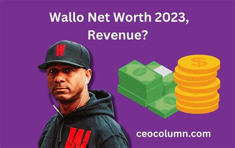 Wallo Net Worth 2023, Monthly Income & Revenue?