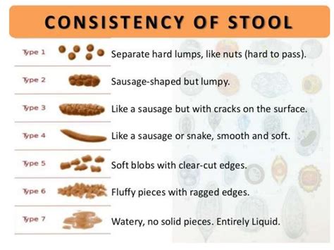 Image result for Stool Analysis Procedure