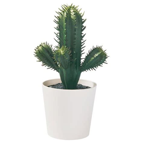 IKEA FEJKA Artificial Plant, Lifelike Cactus, Indoor/Outdoor Use ...