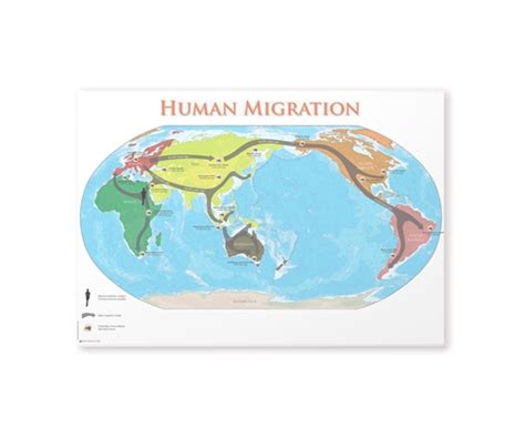 Human Migration Chart 的图像结果