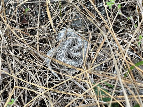 Your support does more than you know - ACRES Land Trust