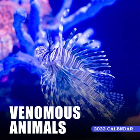 Buy Venomous Animals 2022: A Monthly and Weekly 2022 - 12 months - With ...