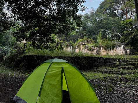 CALAKMUL TOURS BY ENRIQUE (2025) All You Need to Know BEFORE You Go ...