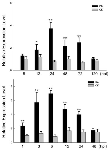 Constitutive Overexpression of an NB-ARC Gene from Wild Chinese Vitis ...