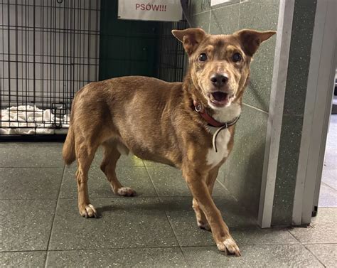 1000/25 | Schronisko Na Paluchu