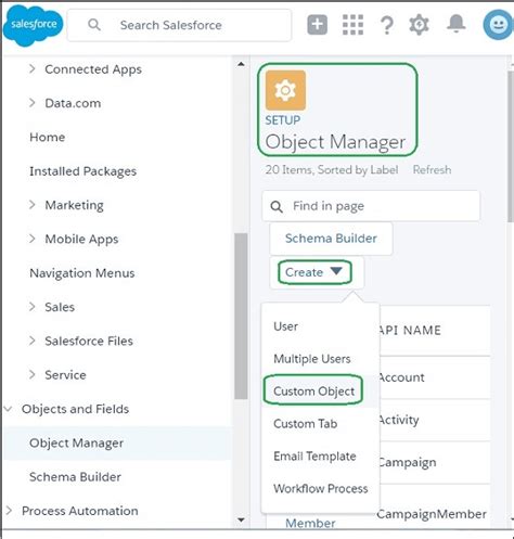 Image result for Salesforce Tutorial PDF
