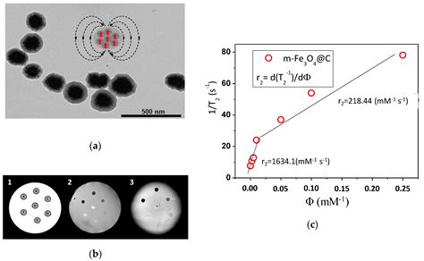 Hybrid Nanostructured Magnetite Nanoparticles: From Bio-Detection and ...