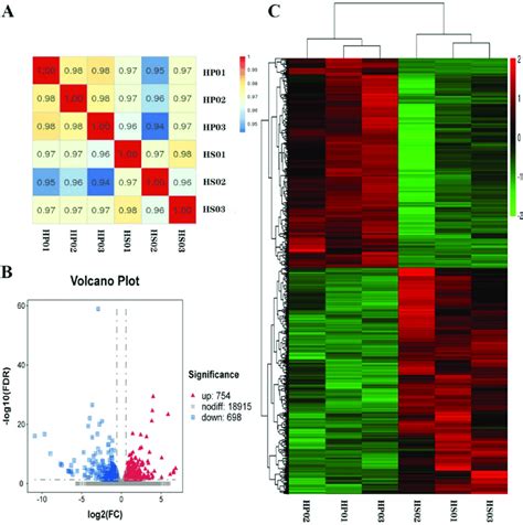 Image result for Gene Expression Map