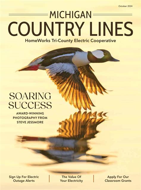 October 2024 HomeWorks Tri-County by Country Lines - Issuu