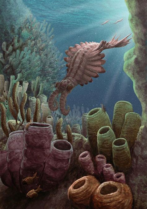 Image result for Ancient Shell Sea Creature