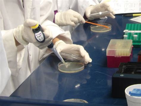 Image result for Lab Tech Support Training