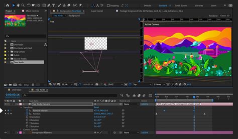 Use camera animations