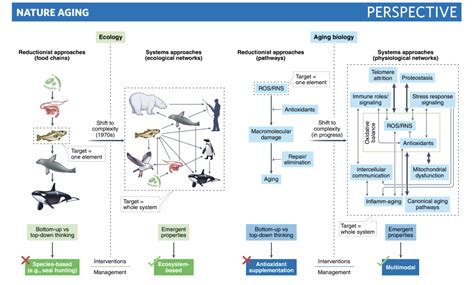 Aging Model 的图像结果