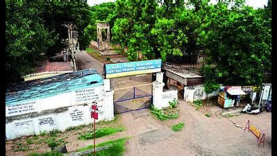 Skin Condition: Tender Process For Semmozhi Poonga Will Be Completed In ...