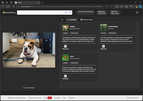 Bing Camera Search 的图像结果