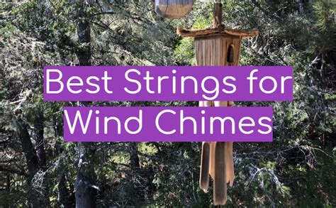 Image result for Wind String