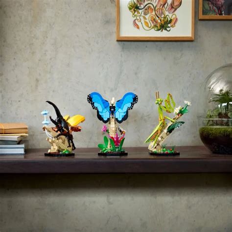 LEGO 21342 Ideas The Insect Collection | Buy Online at Toycra