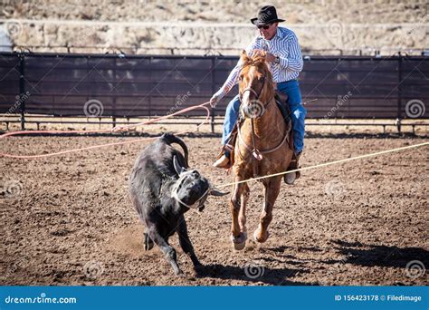 Roping Competition 的图像结果