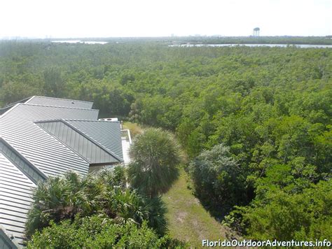 Kayaking Westlake Park Over To Anne Kolb Nature Center – Florida ...