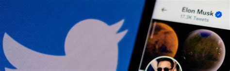 'Elon Musk-trolls doxen Twitter-medewerkers' - IT Pro - Nieuws - Tweakers
