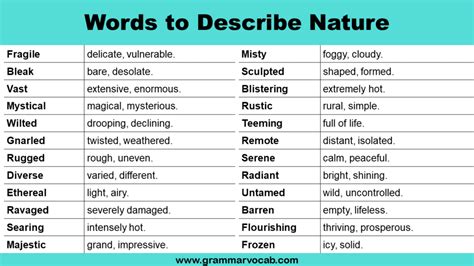 Adjectives: Words to Describe Nature - GrammarVocab