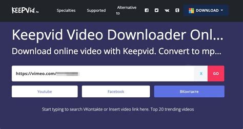 Image result for Internet Video Download Programs