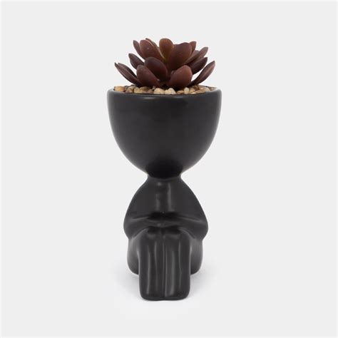 Planta artificial con cuerpo negro suculenta 17 x 5 cm