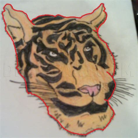 Image result for Tiger Drawing Tutorial