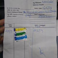 Municipal Corporation Of Delhi — non availability of anti rabies ...