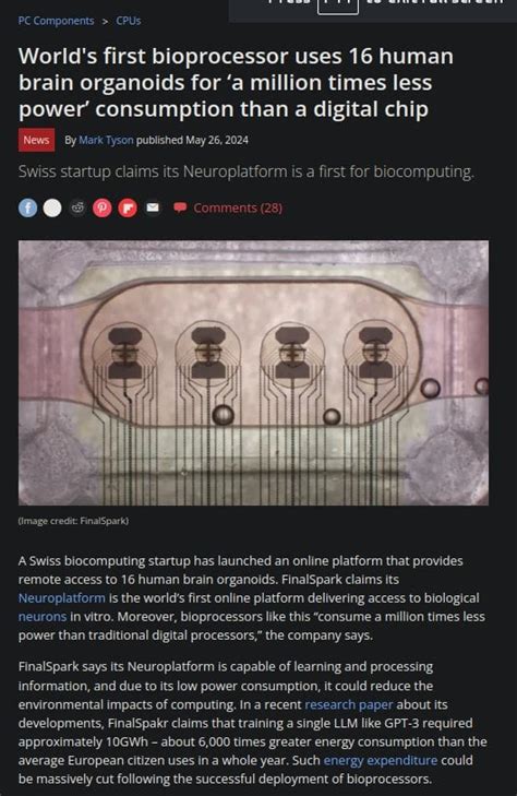 Brain Processing Unit 的图像结果