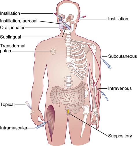 Image result for Drug Administration Methods