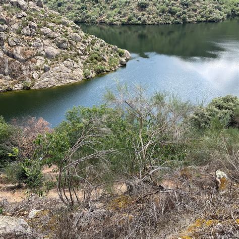 ROCK ENGRAVINGS OF MAZOUCO (2026) All You Need to Know BEFORE You Go ...