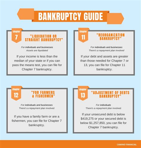 Explaining Chapter 11 Bankruptcy 的图像结果