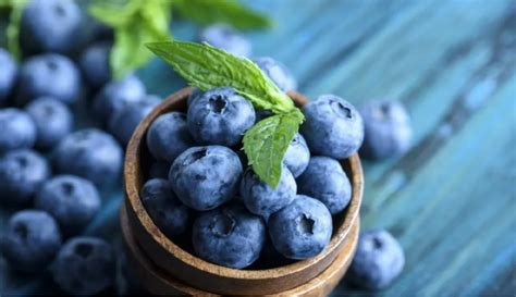 中国蓝莓2020年度报告出炉：行业发展迅猛，鲜果外资占比高达10% | 国际果蔬报道