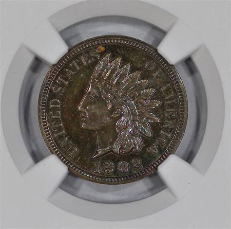 1902 1c Indian Head Cent NGC PF64BN Colorful Toning – J Robinson Rare Coins