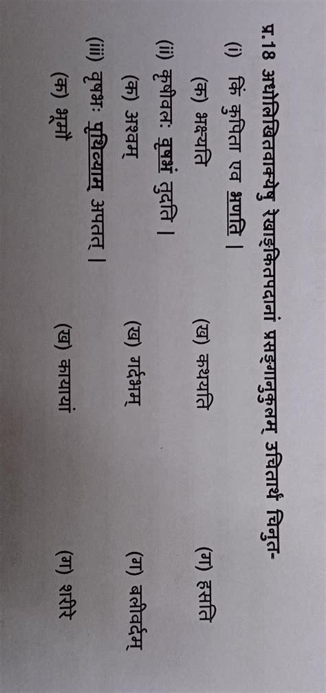 please answer me this one - Brainly.in