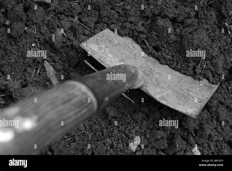 Digging 的图像结果