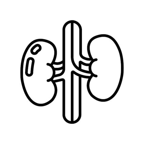Kidney Simple Drawing Images - Free Download on Freepik