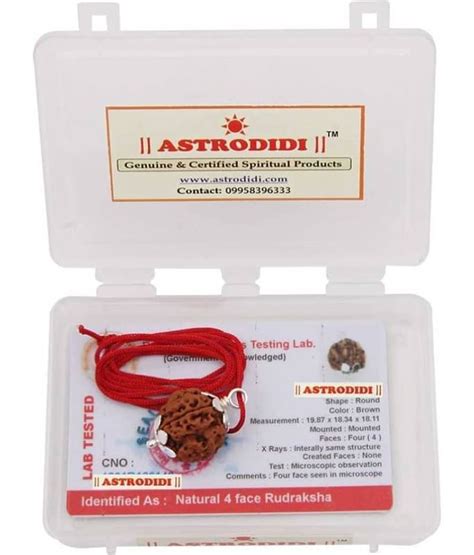 Astrodidi 4 Mukhi Rudraksha Four Face Rudraksha With Lab Certificate