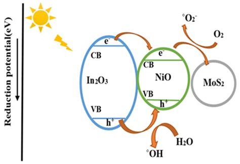 In2O3/NIO/MOS2 Composite as a Novel Photocatalytic towards Imatinib and ...
