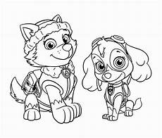malvorlagen paw patrol sky paw patrol ausmalbilder sky genial 13 marshall paw patrol malvorlagen paw patrol sky paw patrol ausmalbilder sky genial 13 marshall paw patrol