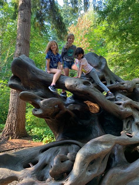 Blossoming Into Spring: Where to Find Your Garden Essentials in ...