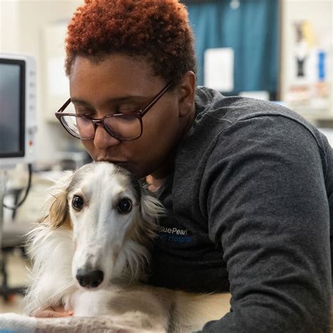 24 Hour Emergency Vet | BluePearl Pet Hospital | Skokie, IL