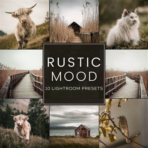 Pack 30 lightroom presets vintage – Artofit