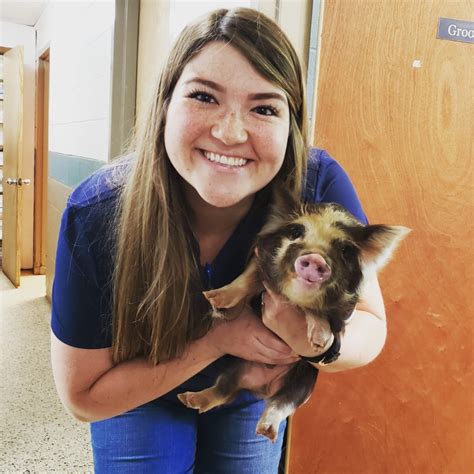 Karns Animal Clinic – Knoxville, TN