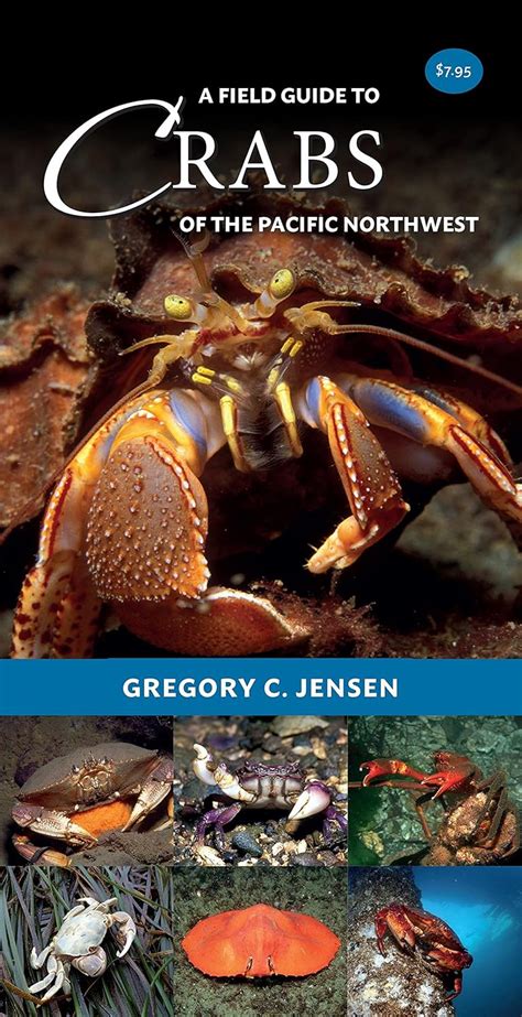 Buy A Field Guide to Crabs of the Pacific Northwest Book Online at Low ...
