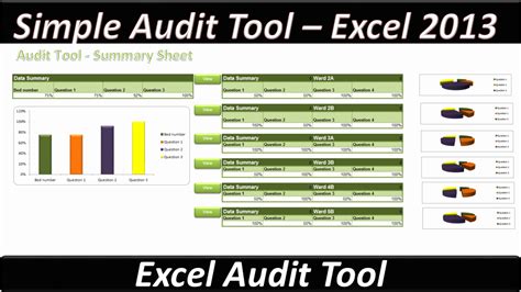 Excel Audit Tool 的图像结果