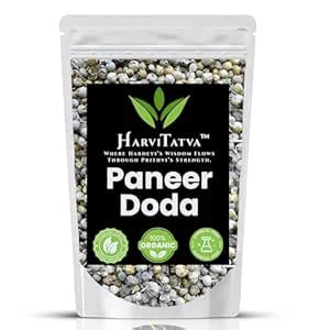 Buy HarviTatva Paneer Doda Whole | Withania Coagulans | Paneer Phool ...